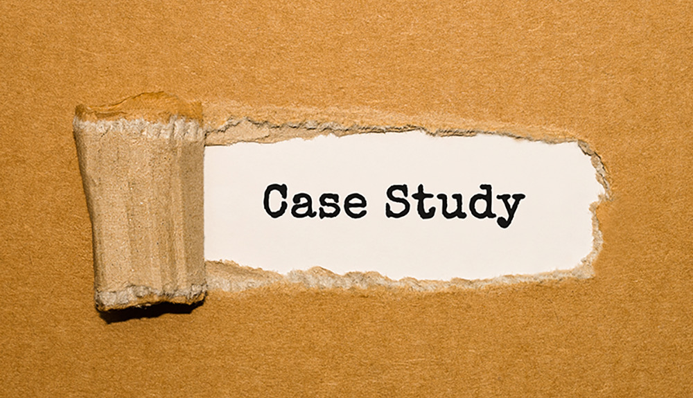 Strategic Use of Business Models: Case Study