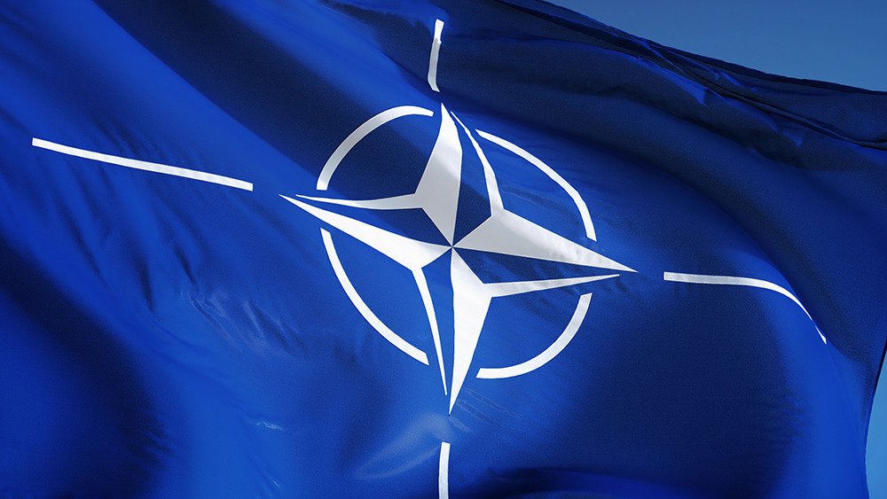 NATO Architecture Framework and ArchiMate: comparing Defence architecture drivers with Industry