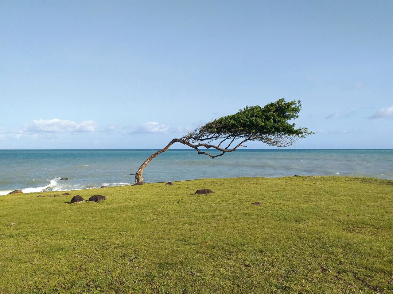 Resilienz stärken