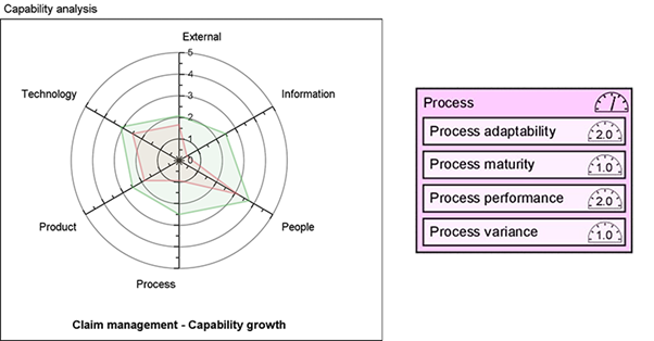 The diagram indicates how senior management can use spider charts to visualize a Capability Assessment.