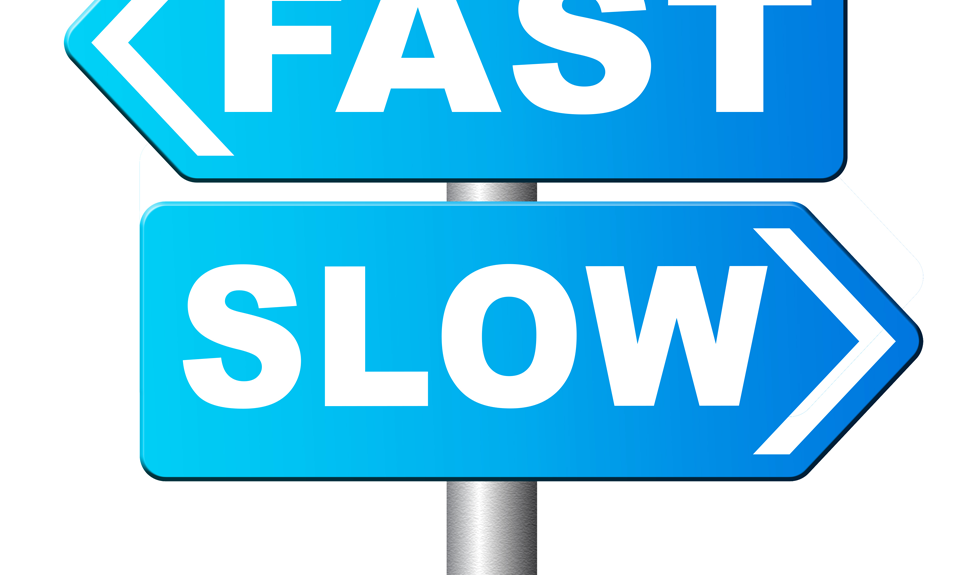 Behavioral Economics & Enterprise Architecture (1): The Case for Slower Decisions